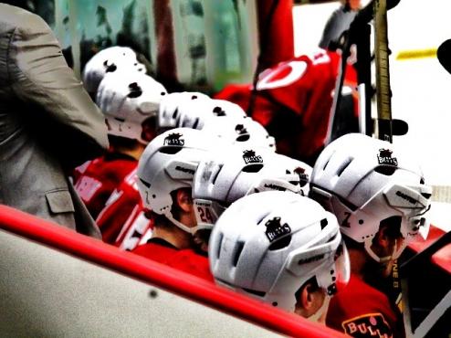 Pick the Bull at Main Camp!