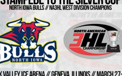 Bulls Sweep 1st Round, Now Bound for Chi-Town!