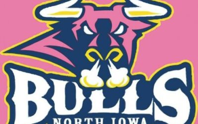 Bulls Raise Nearly $8,700 during Pink in the Rink!
