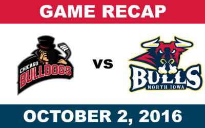 Bulls Score Early, Often in 12-1 Home Rout