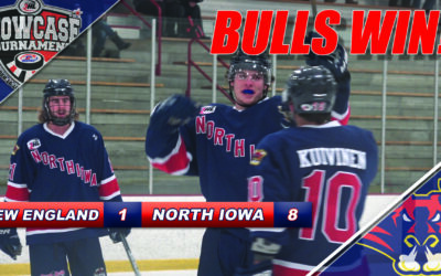 Stars Go Dim in 8-1 Bulls Win