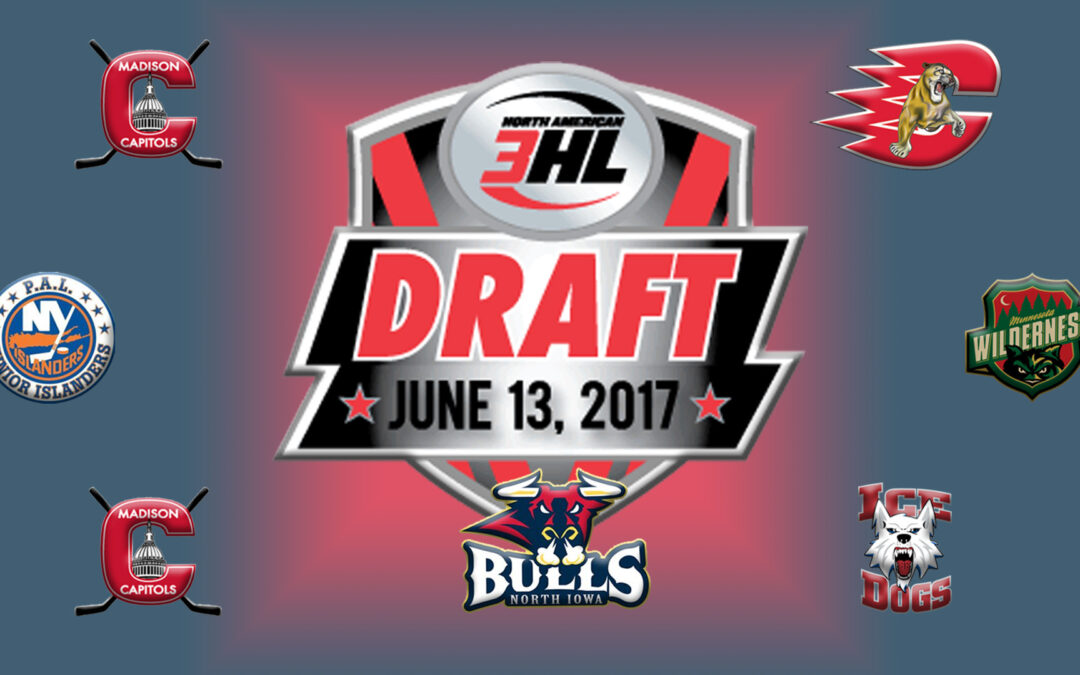 Bulls Take Six on NA3HL Draft Night