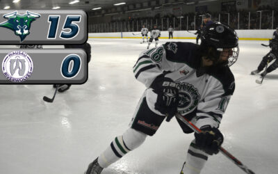 Bulls Barrage Wausau in Playoff Preview