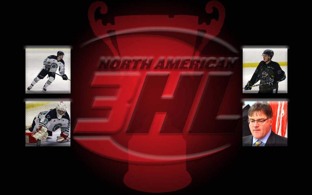 Four Bulls Earn NA3HL Hardware in 2017-18