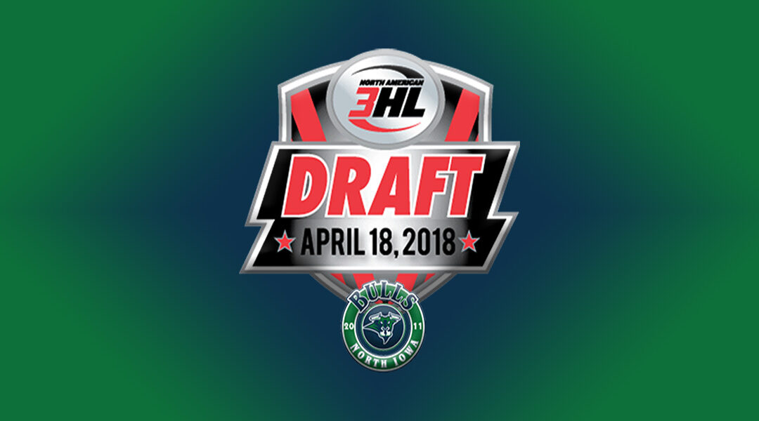 Fortner Headlines Bulls’ Draft Class in 2018