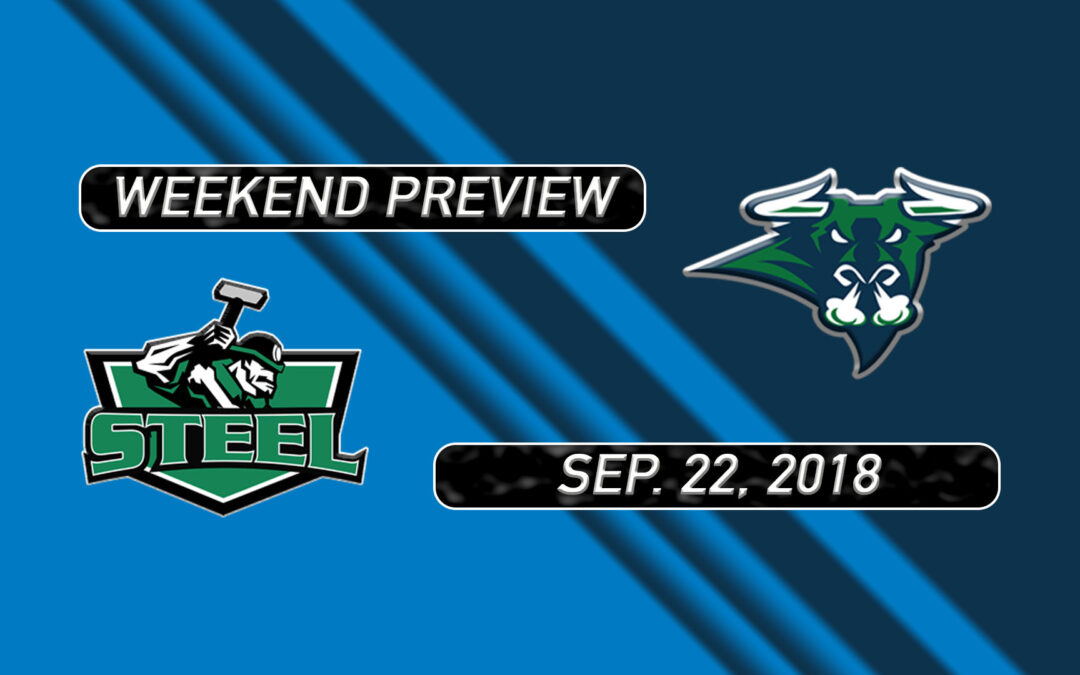 2018-19 Weekend Preview: Game 4 at New Ulm