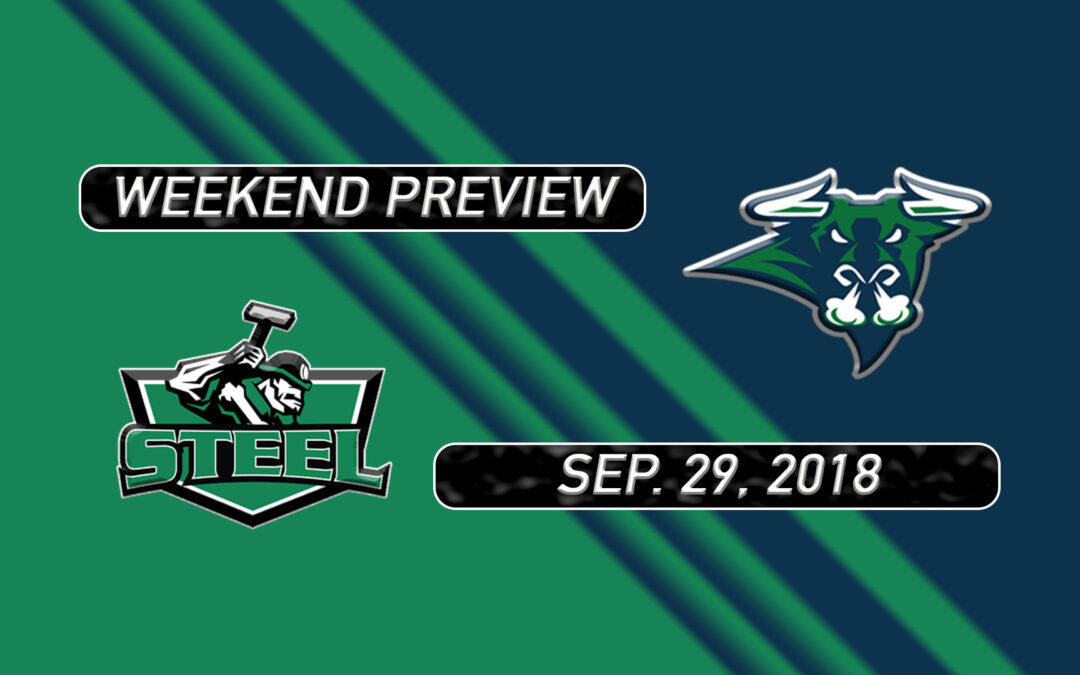2018-19 Weekend Preview: Game 6 vs. New Ulm