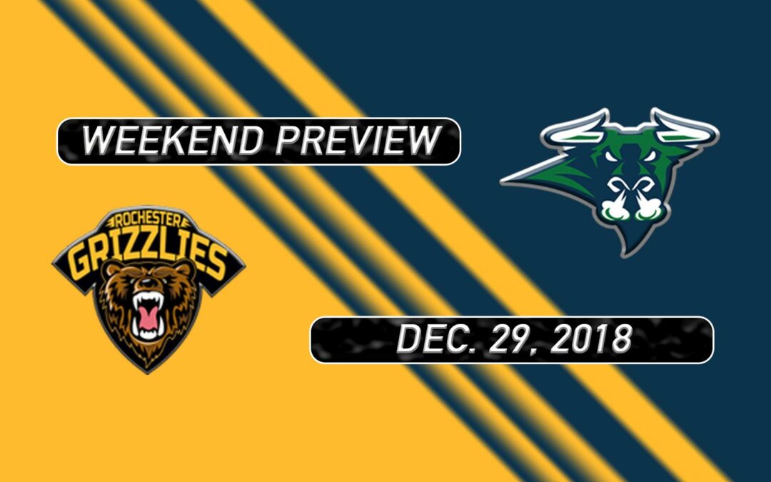 2018-19 Weekend Preview: Game 28 at Rochester