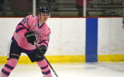 Blizzard Freeze Bulls In 4-1 Win