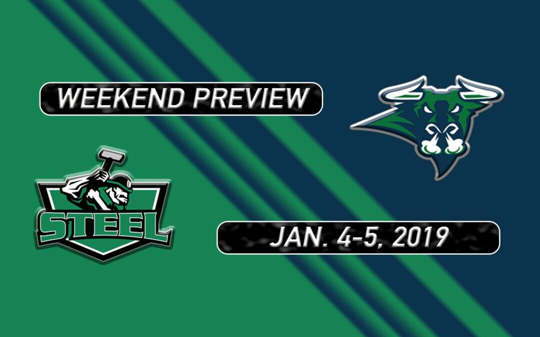 2018-19 Weekend Preview: Games 29 & 30 vs. New Ulm