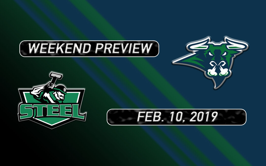 2018-19 Weekend Preview: Game 39 at New Ulm
