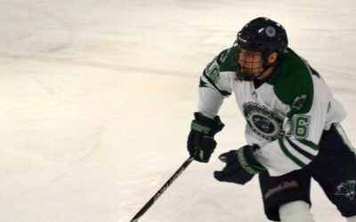 Bulls Advance to Face Alexandria, Beat Rochester 4-1
