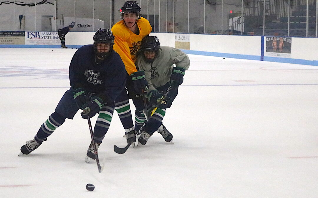 Bulls Complete First Week, Look Ahead to 2019-20