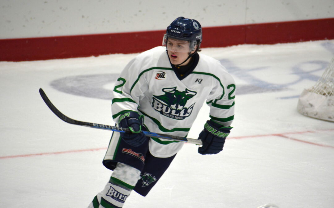 Bulls Erase Three-Goal Deficit, But Fall 5-3