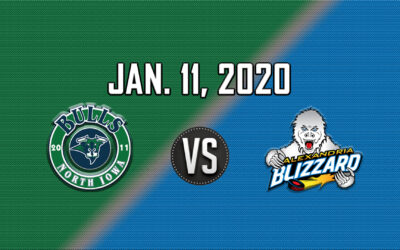 Bulls Preview: Game 33 at Alexandria