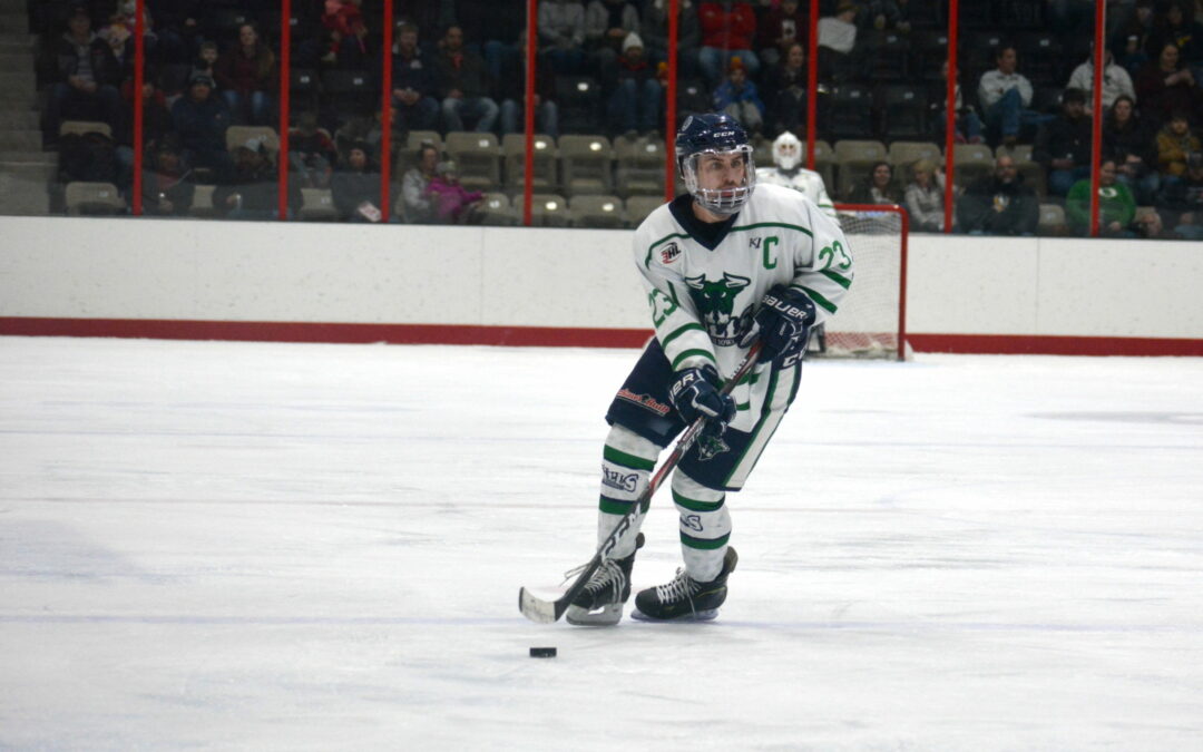 Bulls Win 9-0, Put Willmar Against Playoff Wall