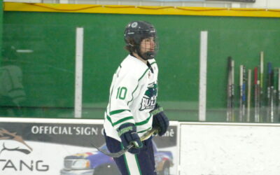 Bulls Win 5-2, Earn First Sweep At Granite City Since 2013-14