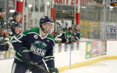 Blizzard Surge In Second To Beat Bulls, 4-2