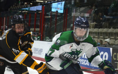 Bulls Fall 5-4 To Grizzlies In Exhibition Battle