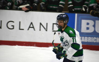 Bulls Streaks End As Willmar Earns 3-2 Overtime Win