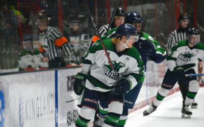 Bulls Shut Out Blizzard, Clinch Playoff Berth