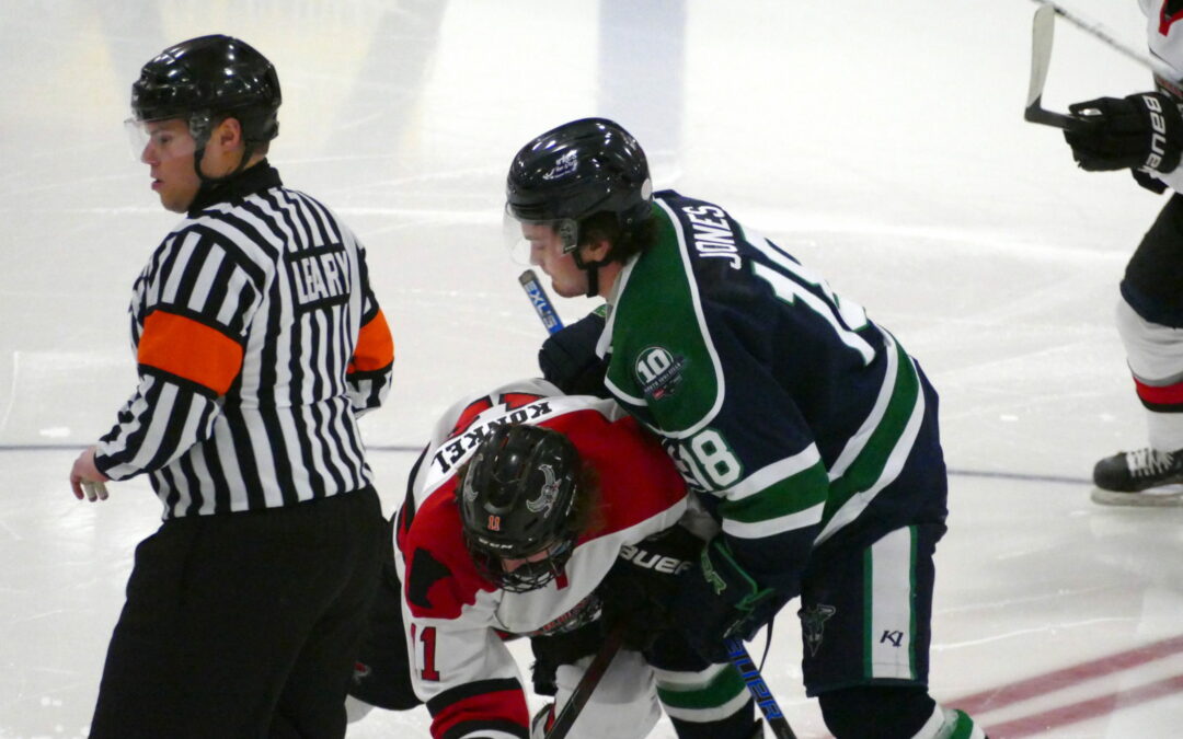 Bulls Strike Fast In First, Hard In Third For 2-1 Win