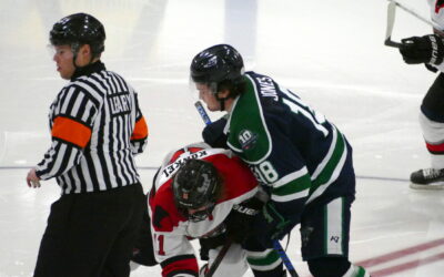 Bulls Strike Fast In First, Hard In Third For 2-1 Win