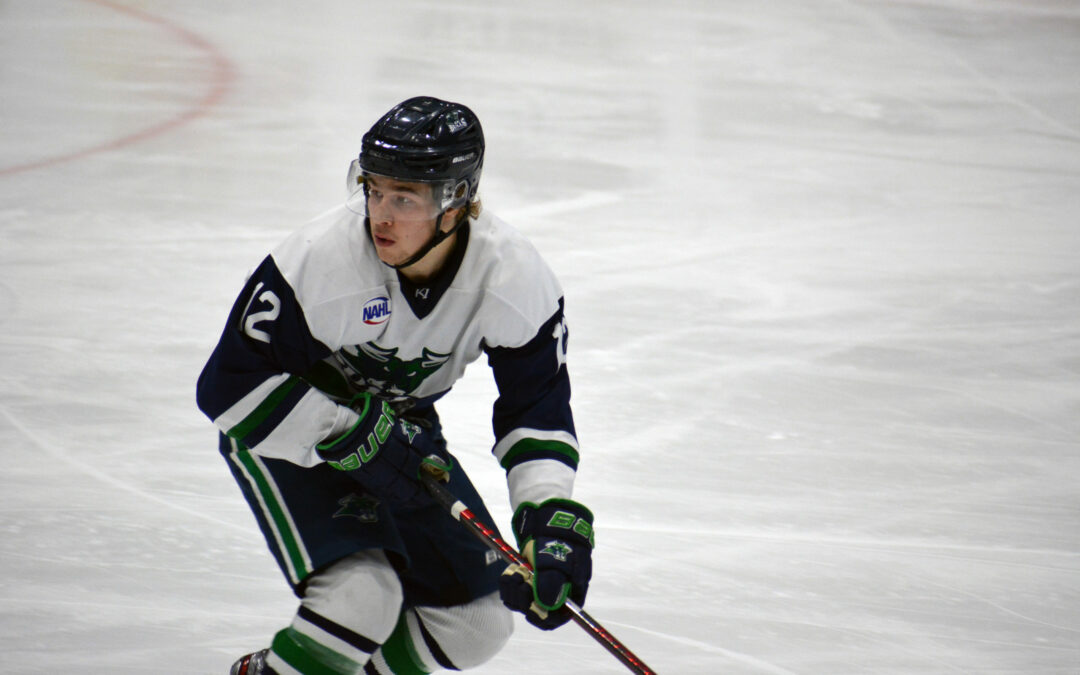Momentum Swings Overshadow Scott’s Pair As Bulls Fall, 5-2