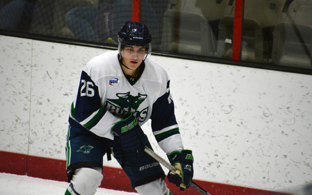 Bulls Take Rough Ride in 6-1 Loss To Minotauros