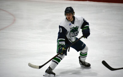 Bulls Can’t Solve Riddle As Austin Wins Saturday, 4-1