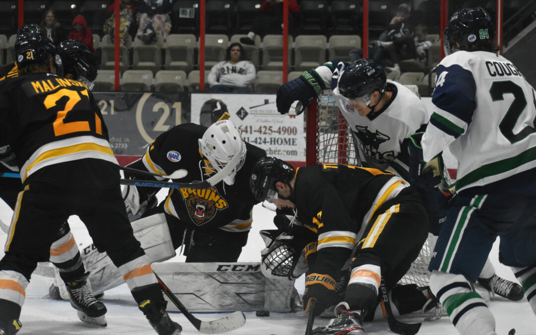 Bulls, Bruins Battle Over Border For First Place