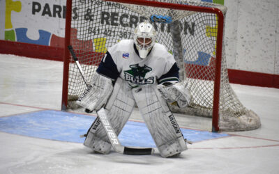 Teddy Bears Rain, Norsemen Reign in Bulls’ 4-2 Loss