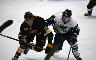 Second-Period Surge Sends Bruins Past Bulls, 5-2