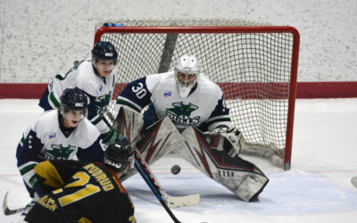Bulls, Bobcats Battle in Last Full Home Regular-Season Weekend