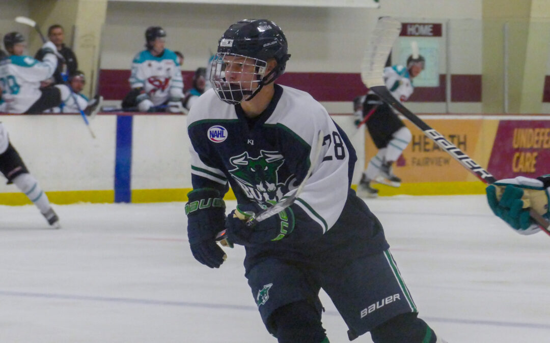 Bulls Swoop In Looking to Defend First Place Against Wings