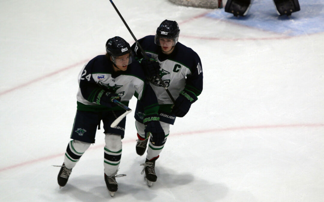 Bulls Battle To Final Horn, Fall 4-3 As Minotauros Earn Sweep