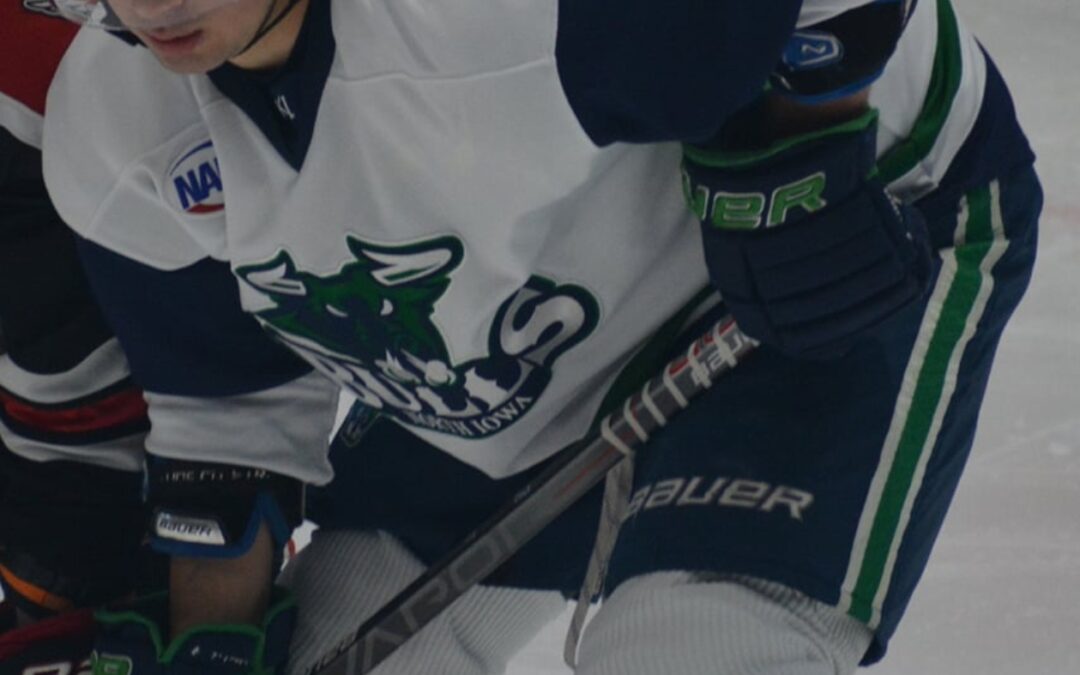 Bulls Alumnus Brett Morich Signs Pro Contract with Port Huron