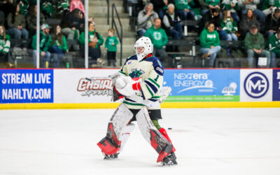 Bulls Shutout Mallards 5-0