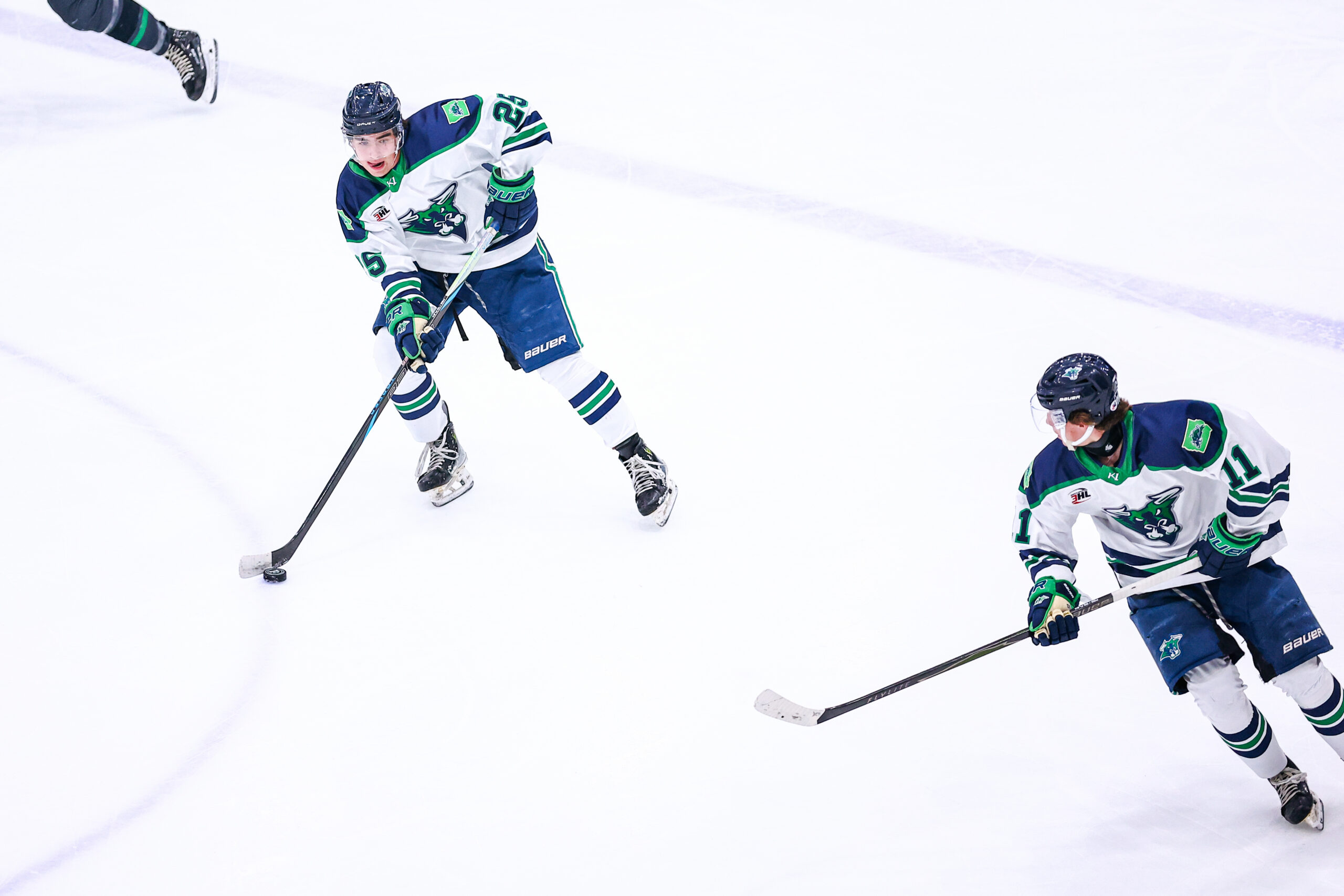 NA3HL HKY Minnesota v North Iowa